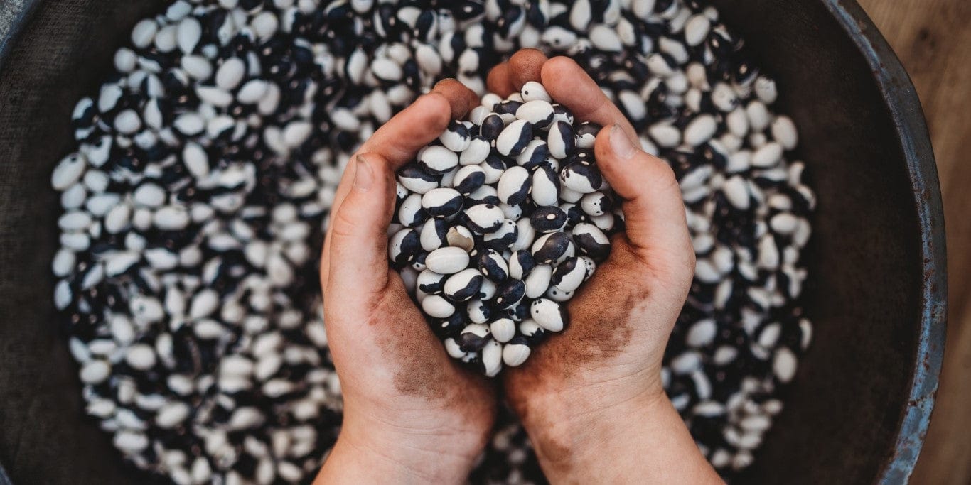 Child holding beans