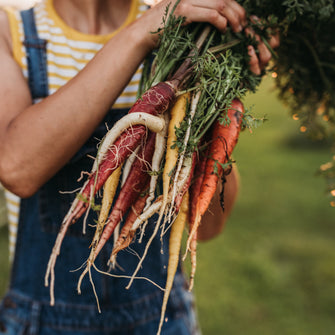 Rainbow Carrot Mix