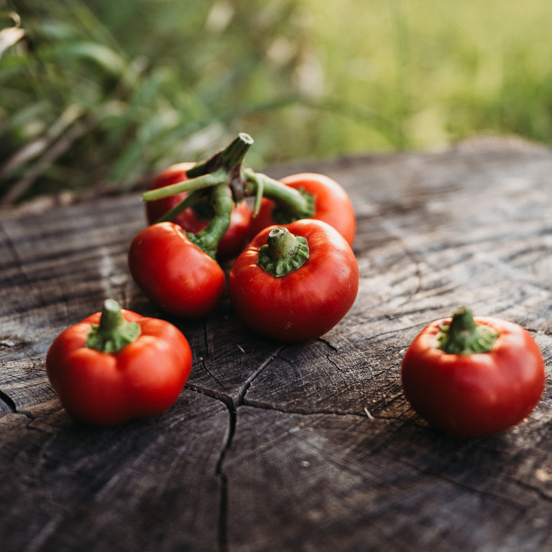Red Hot Cherry Pepper