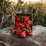Red Scotch Bonnet Pepper