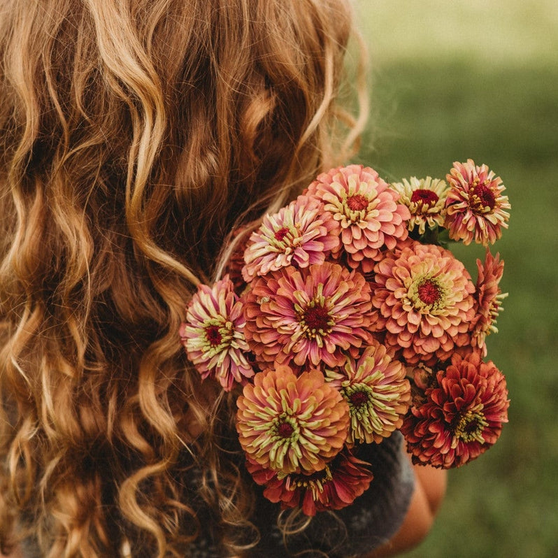Zinnia Flowers