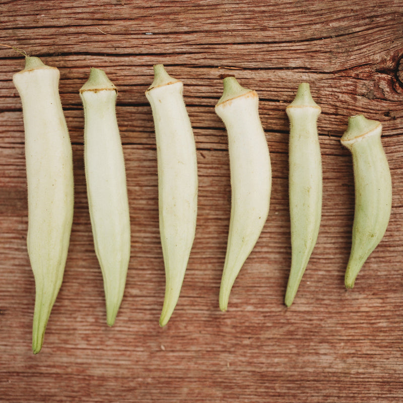 Silver Queen Okra