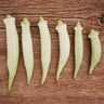Silver Queen Okra