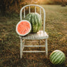 Sweet Dakota Rose Watermelon