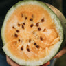 Sweet Siberian Watermelon
