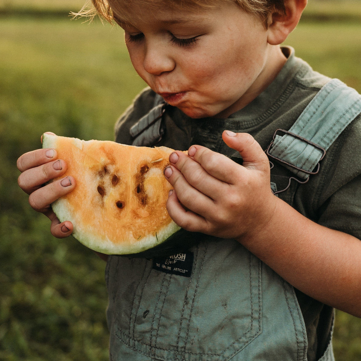 Sweet Siberian Watermelon