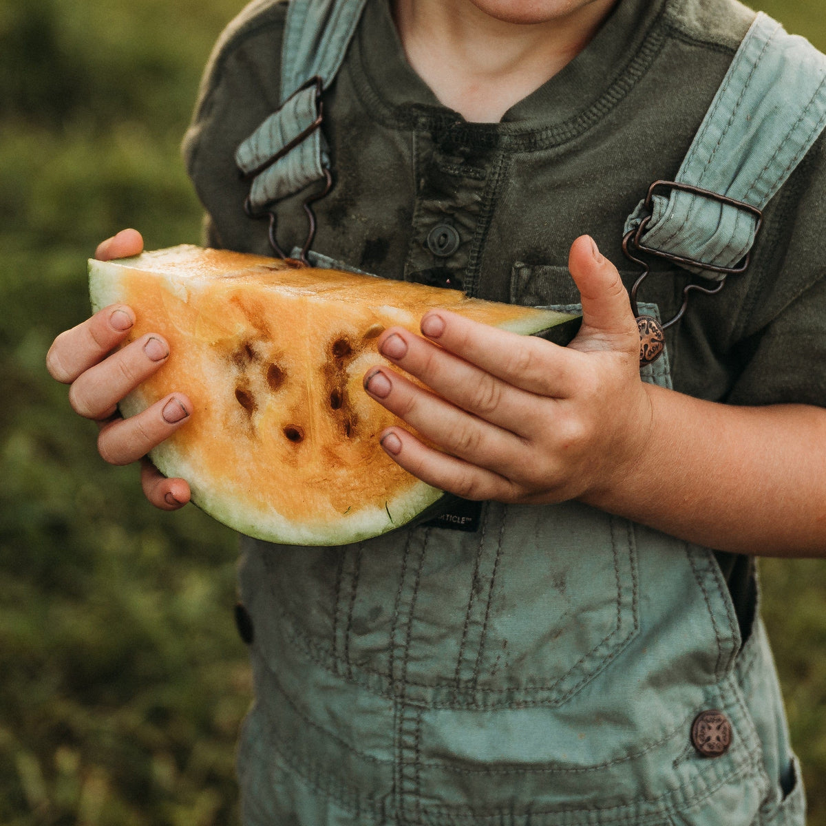 Sweet Siberian Watermelon