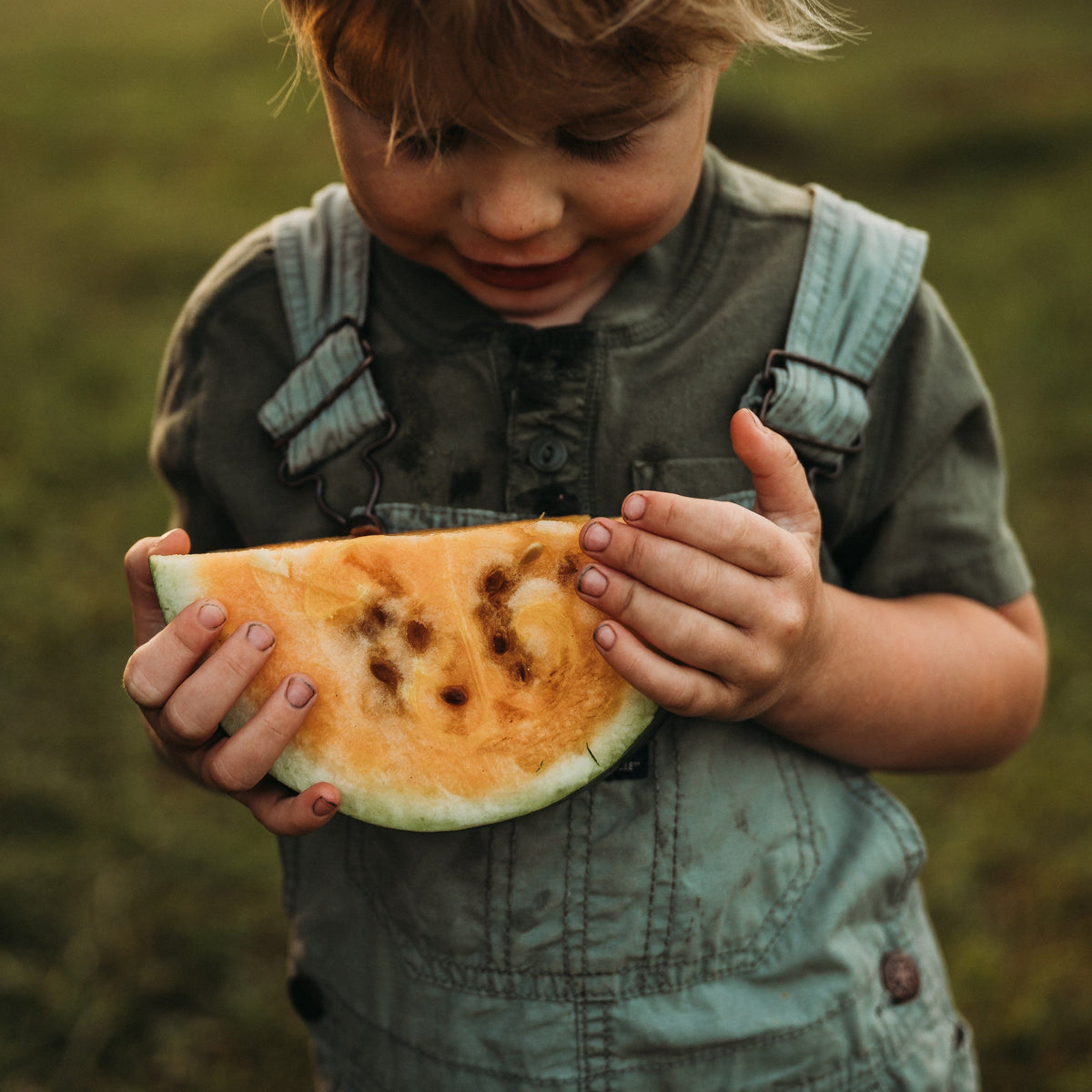 Sweet Siberian Watermelon