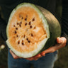 Sweet Siberian Watermelon