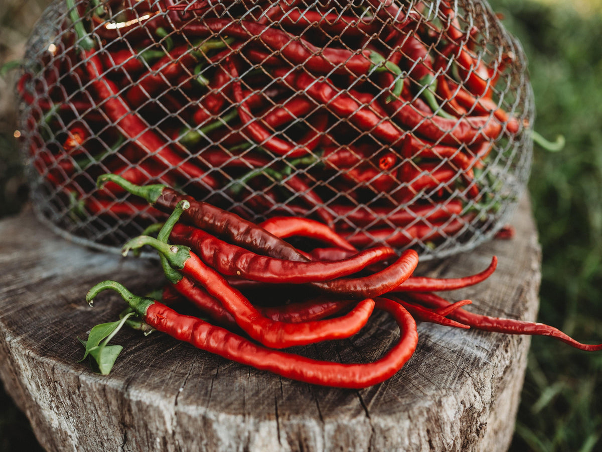 Tatli Kil Sivri (Sweet Sivri) Pepper