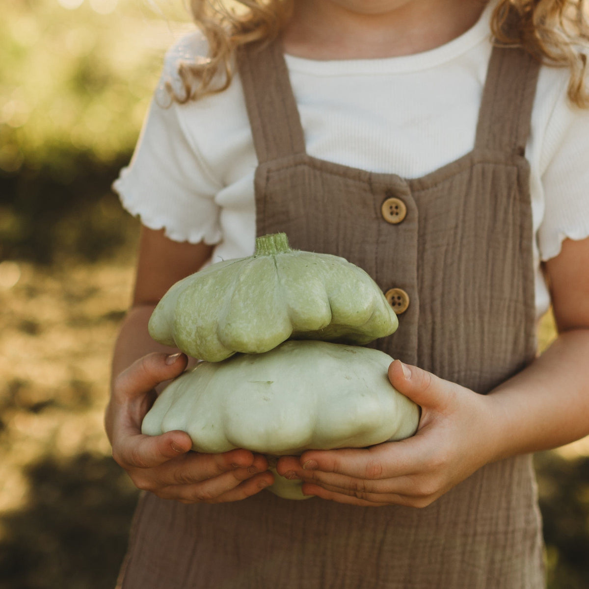 Benning's Green Tint