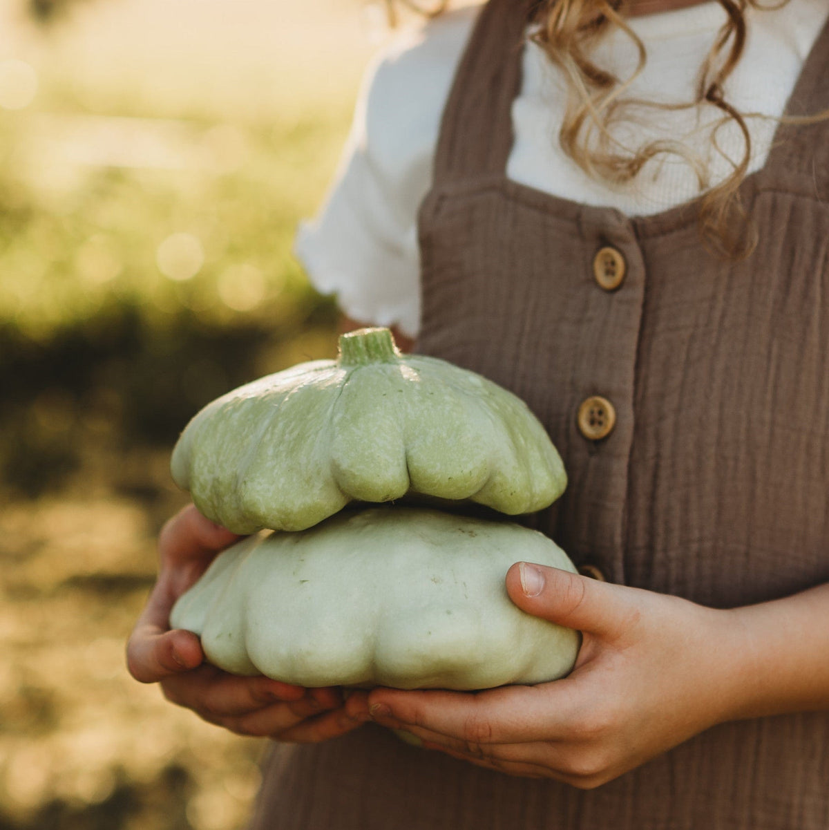 Benning's Green Tint