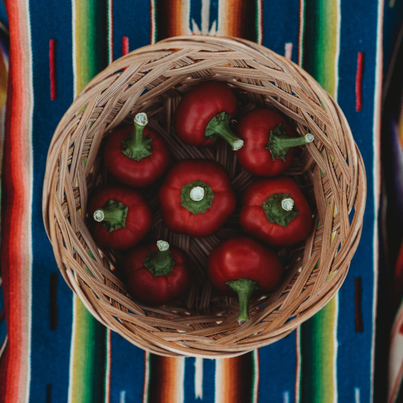 Cascabel Chile Pepper
