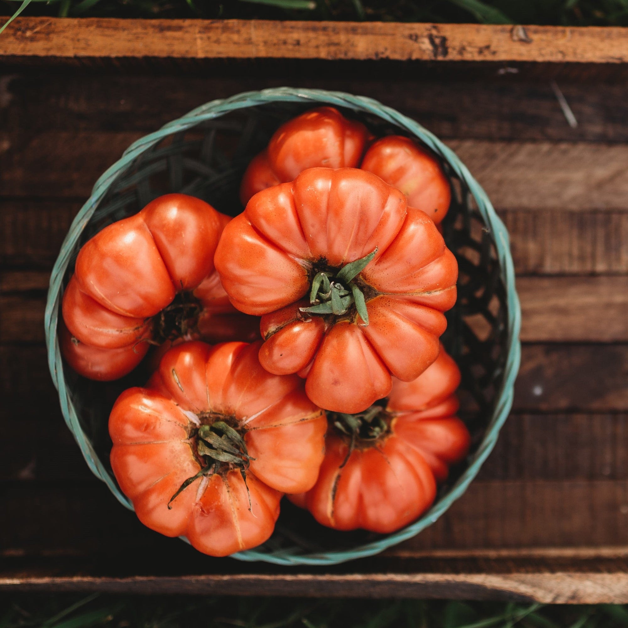 Costoluto Genovese Heirloom Fluted Tomato