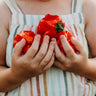 Criolla de Cocina Sweet Pepper