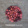 Dixie Speckled Butterpea