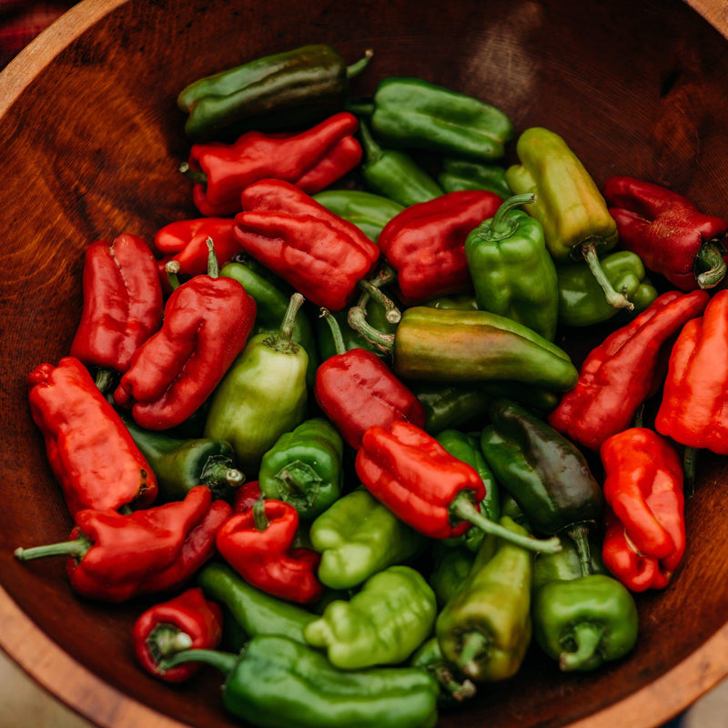 Dolmalik Biber Turkish Sweet Pepper