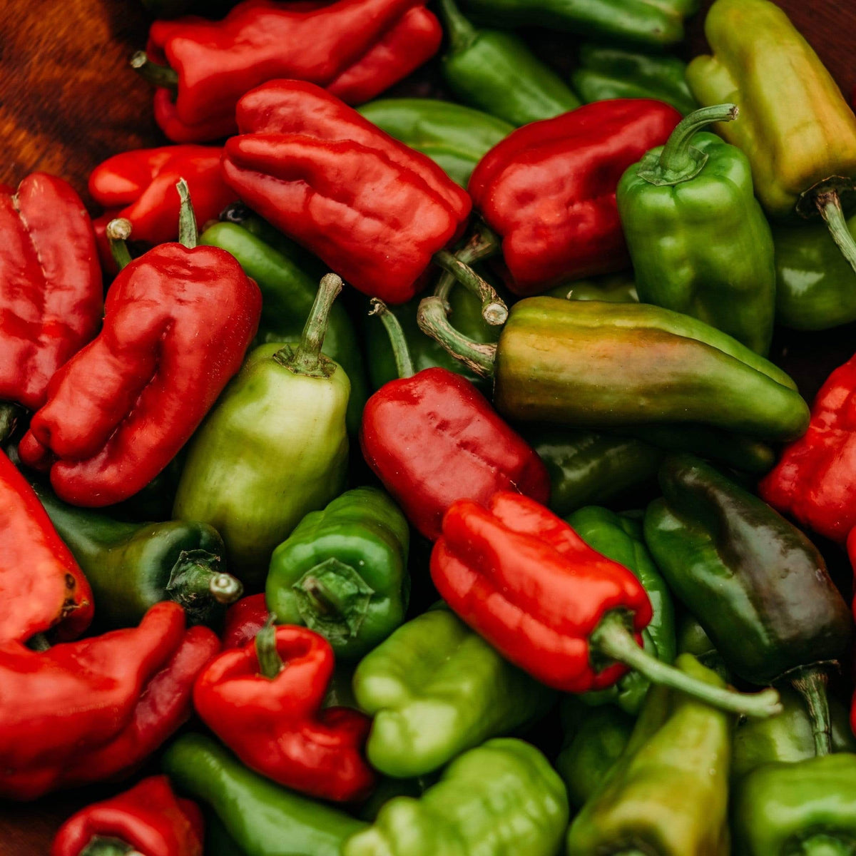 Dolmalik Biber Turkish Sweet Pepper