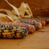 Glass Gem Corn