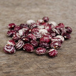 Good Mother Stallard Shelling Bean