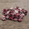 Good Mother Stallard Shelling Bean