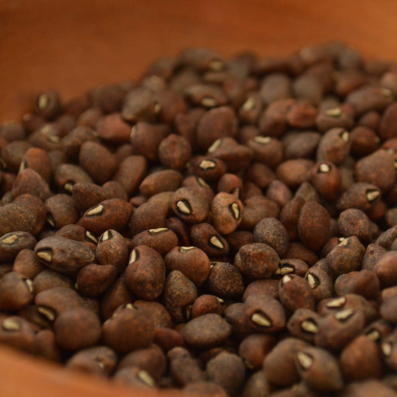 Guarijio Muni Cafe Cowpea
