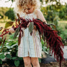 Hopi Red Dye Amaranth