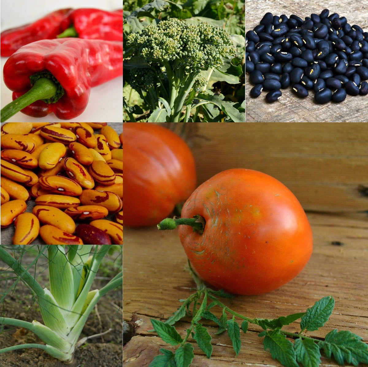 Italian Cooking Collection