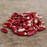 Jacob's Cattle Shelling Bean