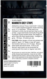 Mammoth Grey Stripe Sunflower