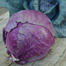 Red Acre Cabbage