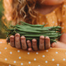 Mascotte Snap Green Bean