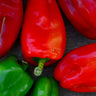 Napoleon Sweet Bell Pepper