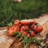Noire de Coseboeuf Scalloped Purple Tomato