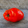 Opalka Heirloom Paste Tomato