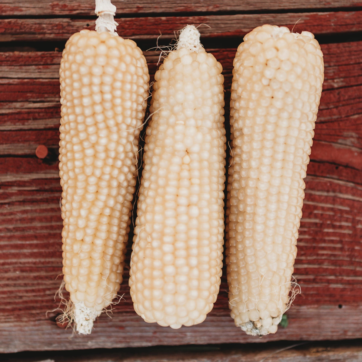 Pennsylvania Butter-Flavored Popcorn