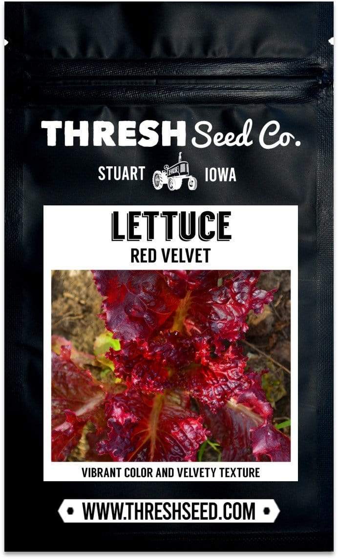 Red Velvet Leaf Lettuce