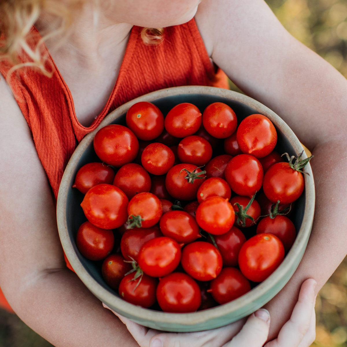 Riesentraube Cherry Tomato