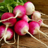 Sparkler White Tip Radish
