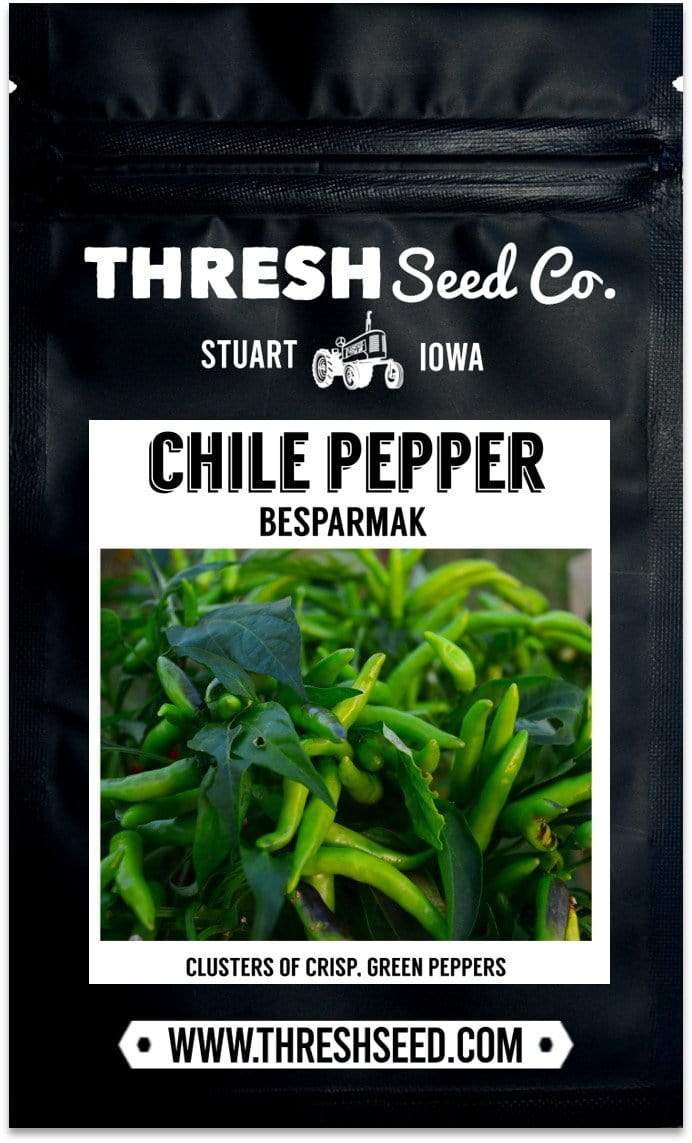 Tabasco Bunches aka "Besparmak" Chile Pepper