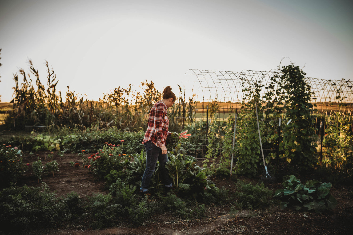 Garden Planning: How big of a garden do I need?