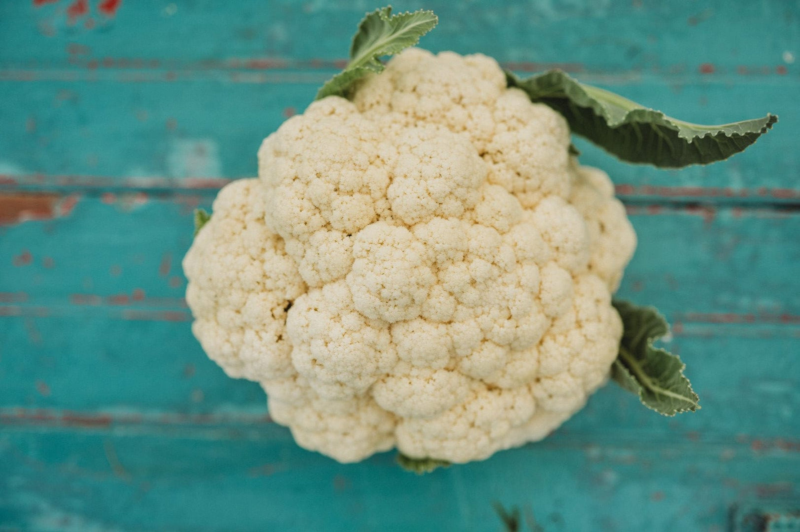 Why Isn’t My Cauliflower Forming a Head? Common Causes and Fixes