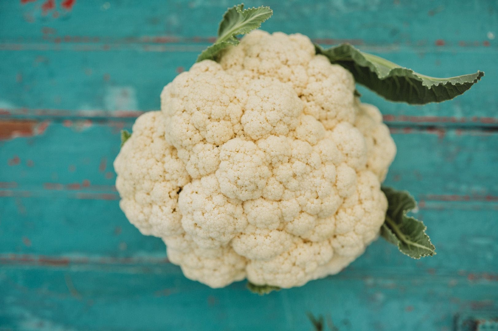 Why Isn’t My Cauliflower Forming a Head? Common Causes and Fixes