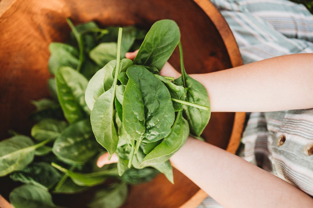 Encouragement for the Not-So-Gifted Gardener