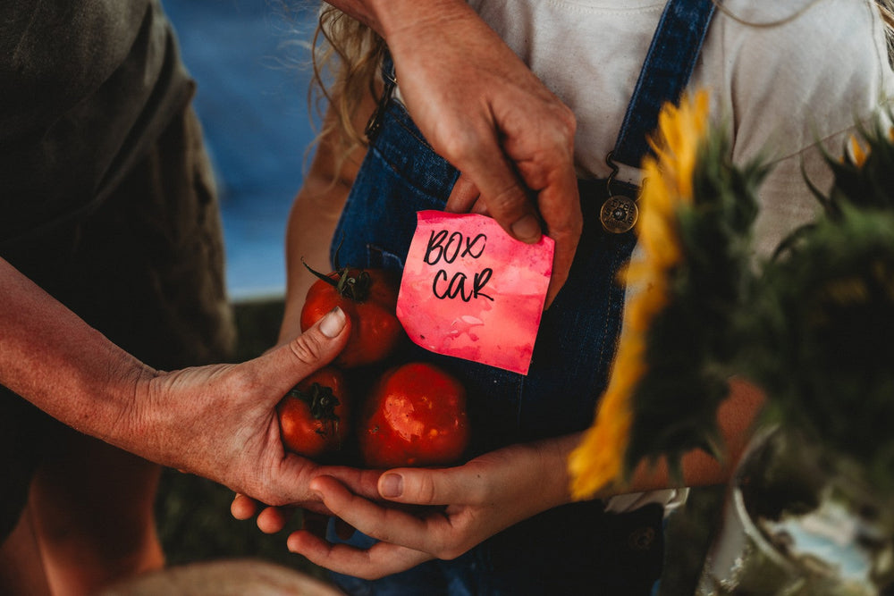 A Behind-the-Scenes Look at Our Garden Photography: Real Plants, Real Photos & Why It Matters