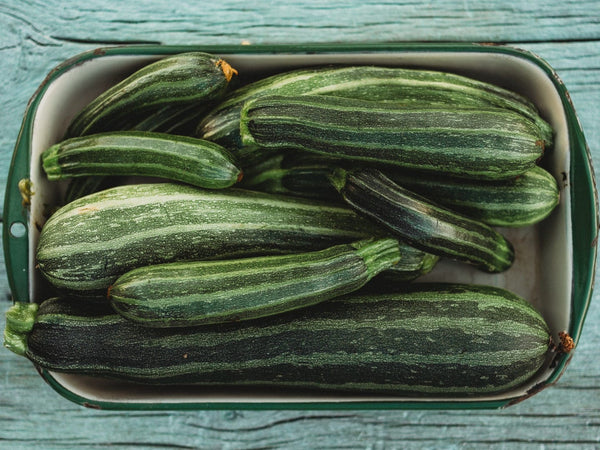 Striped Zucchini