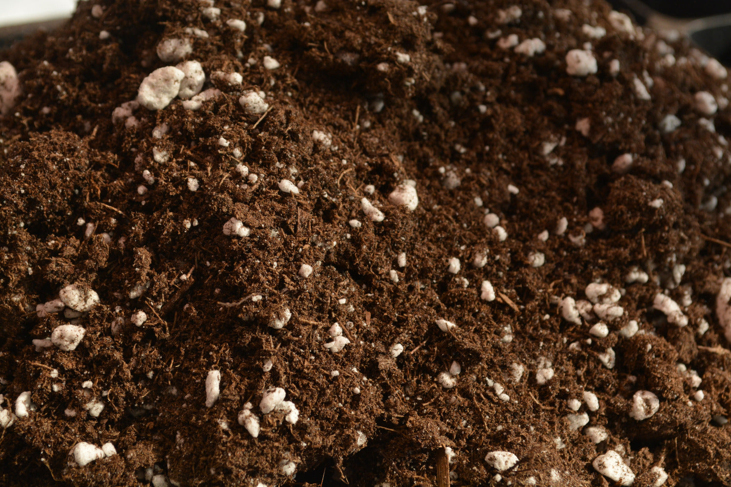 Selecting the best soil for starting your seeds