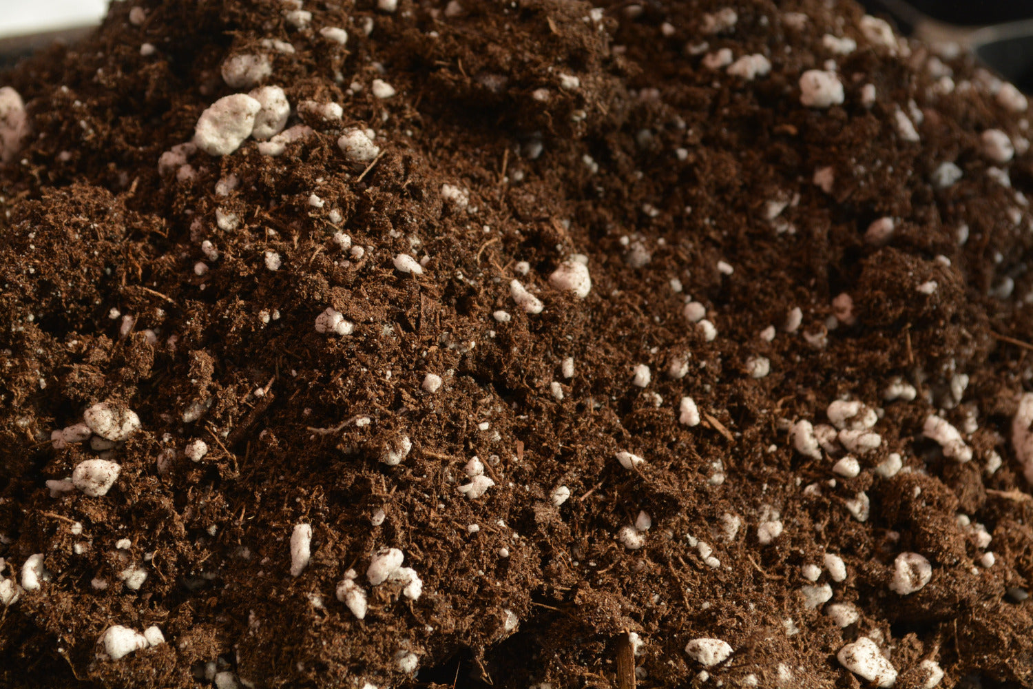 Selecting the Best Soil for Starting Your Seeds