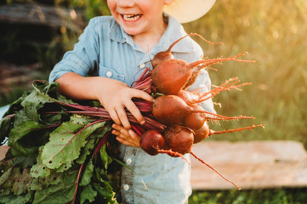 Fall is the Secret Season: Why Growing Beets in Autumn Leads to the Best Harvest