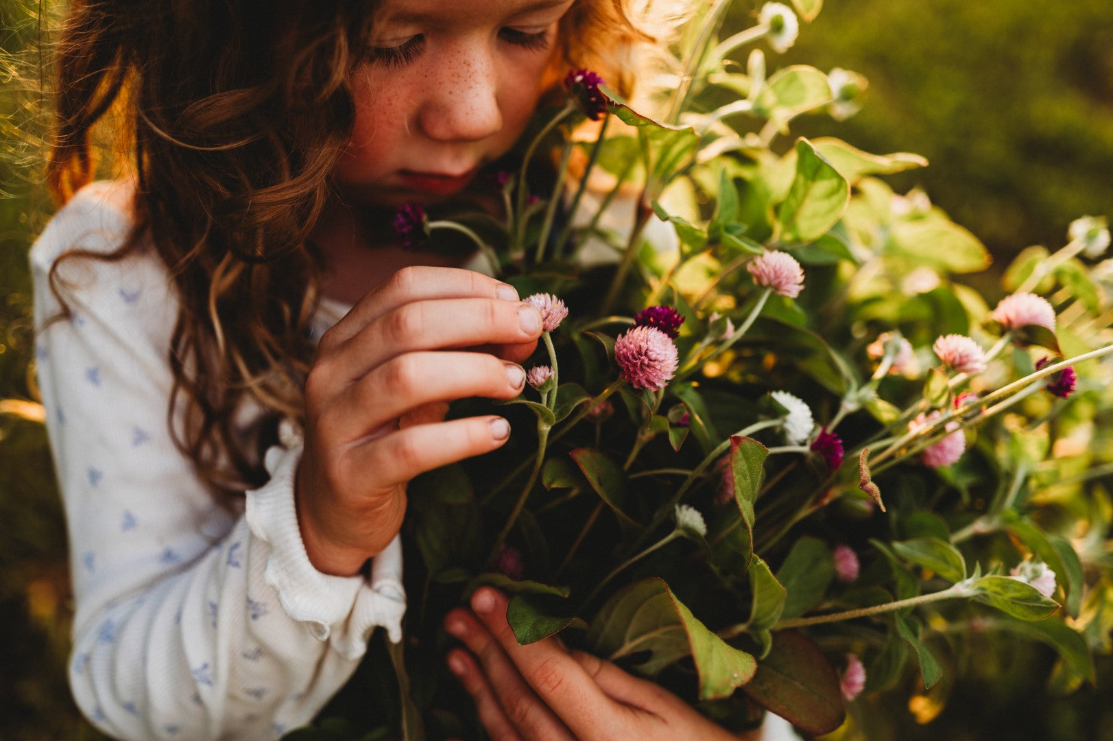 8 Easy-to-Grow Flowers for Cutting Gardens
